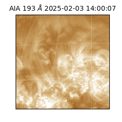 saia - 2025-02-03T14:00:07.045000