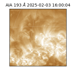 saia - 2025-02-03T16:00:04.843000