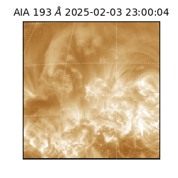 saia - 2025-02-03T23:00:04.835000