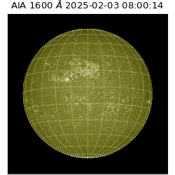 saia - 2025-02-03T08:00:14.125000