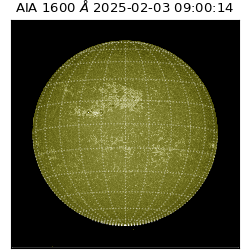 saia - 2025-02-03T09:00:14.118000