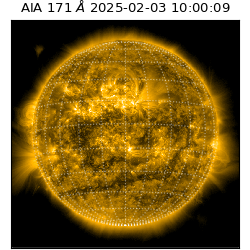 saia - 2025-02-03T10:00:09.350000