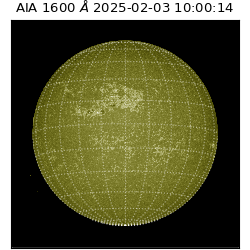 saia - 2025-02-03T10:00:14.126000