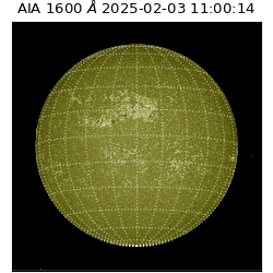 saia - 2025-02-03T11:00:14.122000