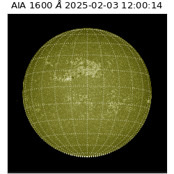 saia - 2025-02-03T12:00:14.126000