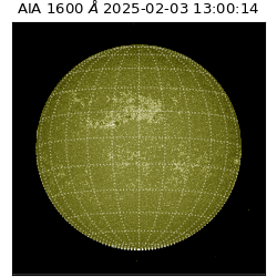 saia - 2025-02-03T13:00:14.129000