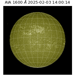 saia - 2025-02-03T14:00:14.130000