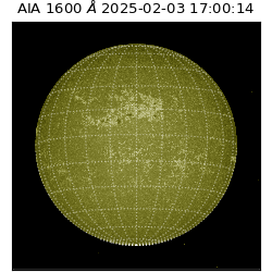 saia - 2025-02-03T17:00:14.126000
