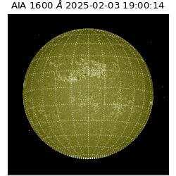 saia - 2025-02-03T19:00:14.129000