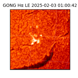 gong - 2025-02-03T01:00:42