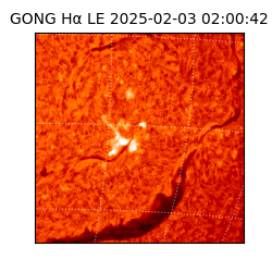 gong - 2025-02-03T02:00:42