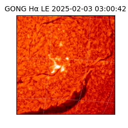 gong - 2025-02-03T03:00:42