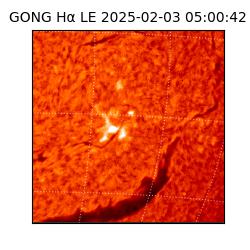 gong - 2025-02-03T05:00:42