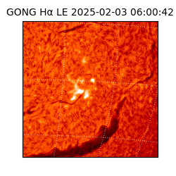 gong - 2025-02-03T06:00:42