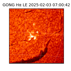 gong - 2025-02-03T07:00:42