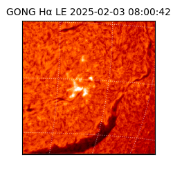 gong - 2025-02-03T08:00:42