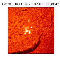 gong - 2025-02-03T09:00:42