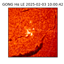 gong - 2025-02-03T10:00:42