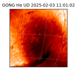 gong - 2025-02-03T11:01:02
