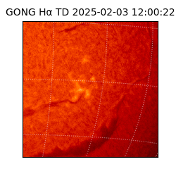 gong - 2025-02-03T12:00:22