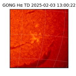 gong - 2025-02-03T13:00:22