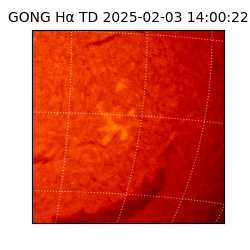 gong - 2025-02-03T14:00:22