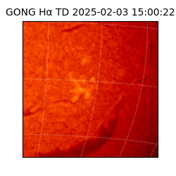gong - 2025-02-03T15:00:22