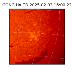 gong - 2025-02-03T16:00:22