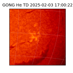 gong - 2025-02-03T17:00:22