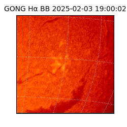 gong - 2025-02-03T19:00:02