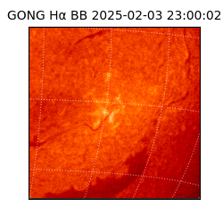 gong - 2025-02-03T23:00:02