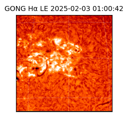 gong - 2025-02-03T01:00:42