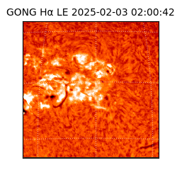 gong - 2025-02-03T02:00:42