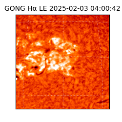 gong - 2025-02-03T04:00:42