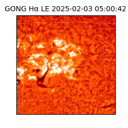 gong - 2025-02-03T05:00:42