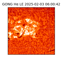 gong - 2025-02-03T06:00:42