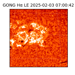 gong - 2025-02-03T07:00:42
