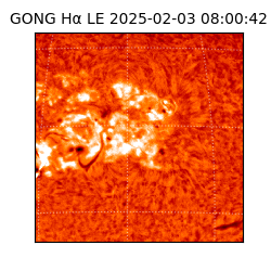 gong - 2025-02-03T08:00:42