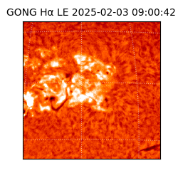 gong - 2025-02-03T09:00:42