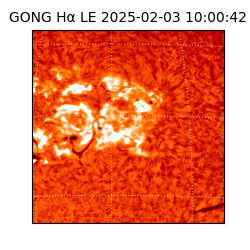 gong - 2025-02-03T10:00:42