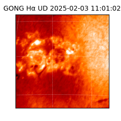 gong - 2025-02-03T11:01:02