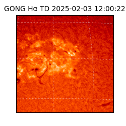 gong - 2025-02-03T12:00:22