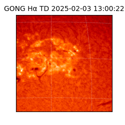 gong - 2025-02-03T13:00:22