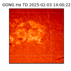 gong - 2025-02-03T14:00:22