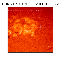 gong - 2025-02-03T16:00:22