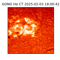 gong - 2025-02-03T18:00:42