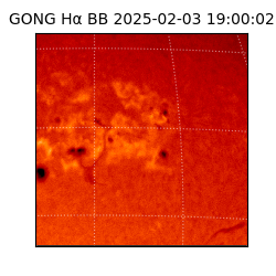 gong - 2025-02-03T19:00:02