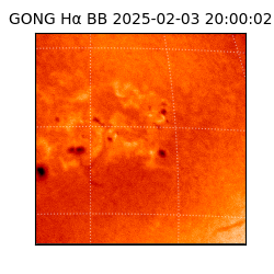 gong - 2025-02-03T20:00:02