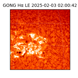 gong - 2025-02-03T02:00:42