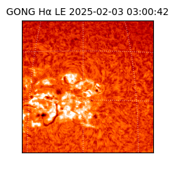 gong - 2025-02-03T03:00:42